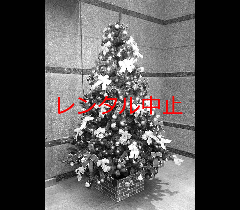 クリスマスツリー2.4m2