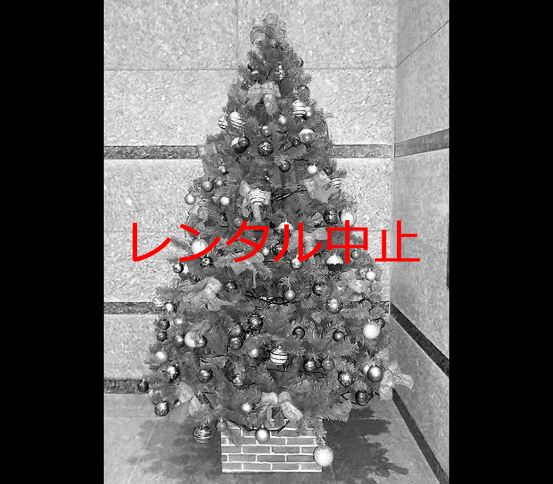 クリスマスツリー2.4m1
